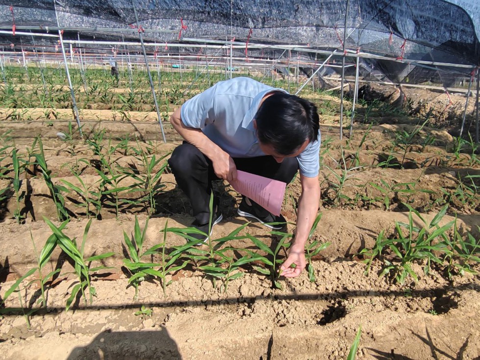 “勞模工匠助企行”2.jpg