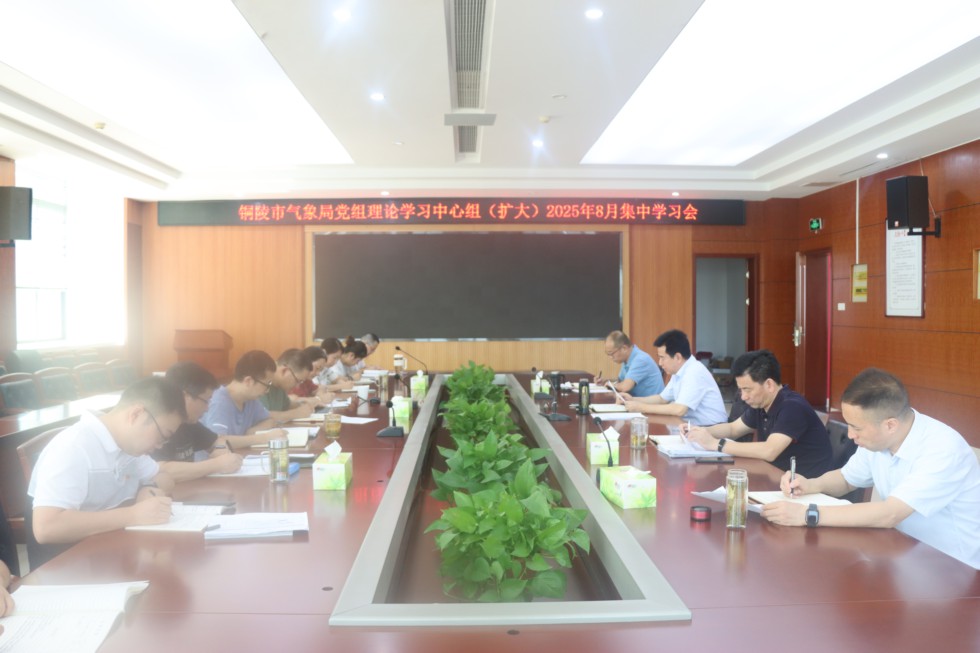 2.市氣象局黨組理論學(xué)習(xí)中心組開展8月理論學(xué)習(xí)會(huì).JPG